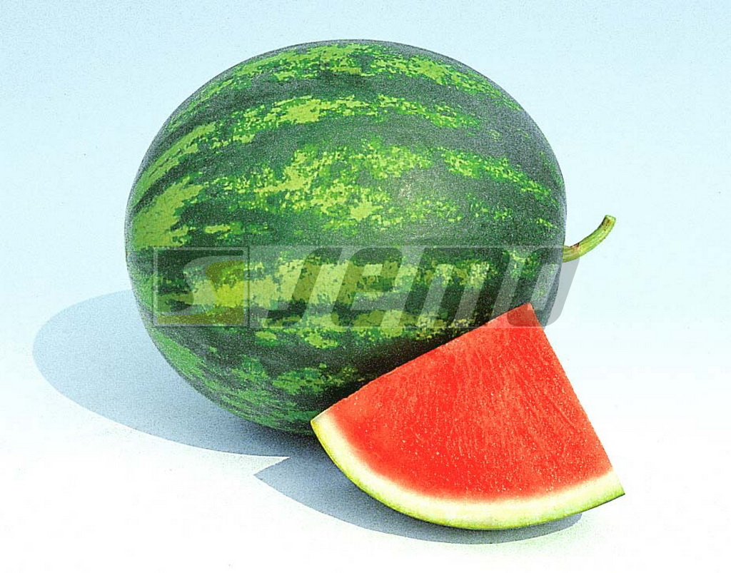 SEMO s.r.o - picture