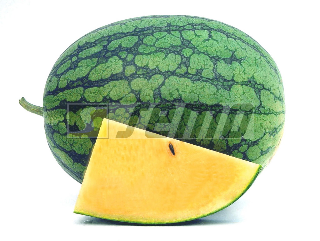 SEMO s.r.o - picture