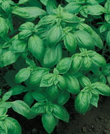 SEMO s.r.o - picture