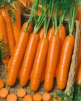 SEMO s.r.o - picture