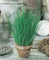 SEMO s.r.o - picture