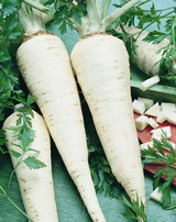 SEMO s.r.o - picture