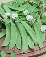 SEMO s.r.o - picture