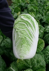 SEMO s.r.o - picture