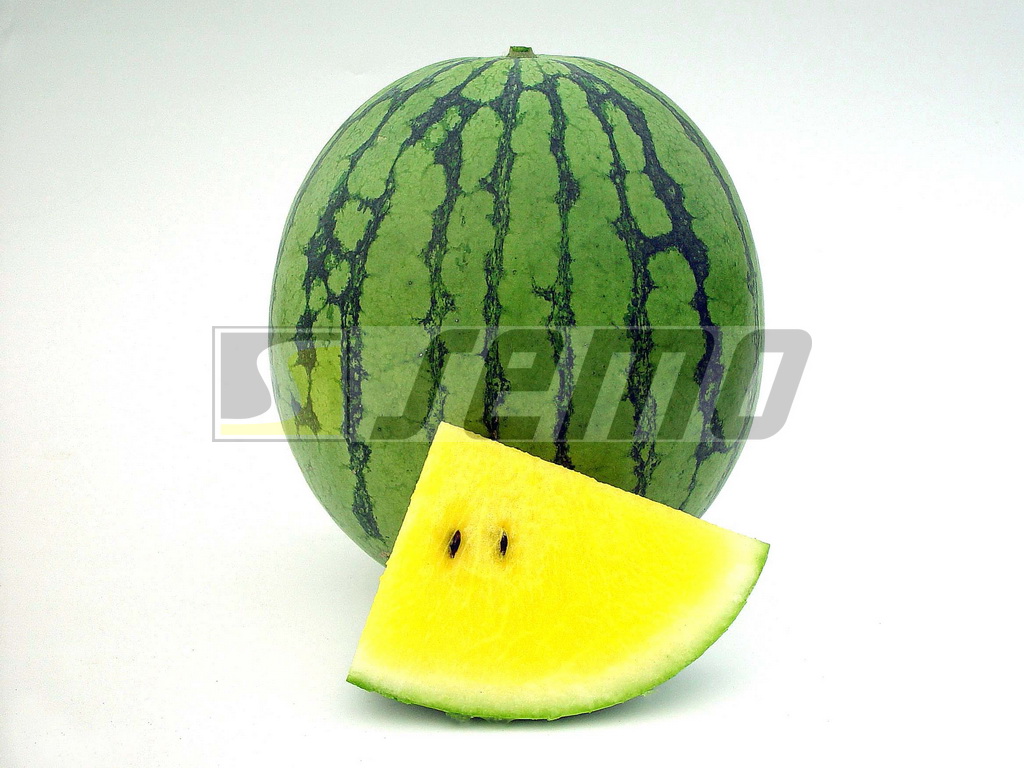 SEMO s.r.o - picture