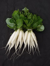 SEMO s.r.o - picture