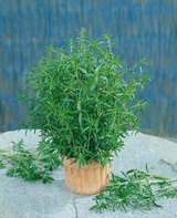 SEMO s.r.o - picture