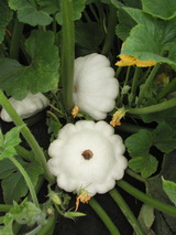 SEMO s.r.o - picture