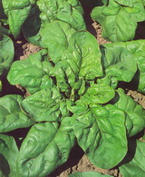 SEMO s.r.o - picture