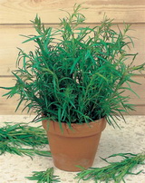 SEMO s.r.o - picture