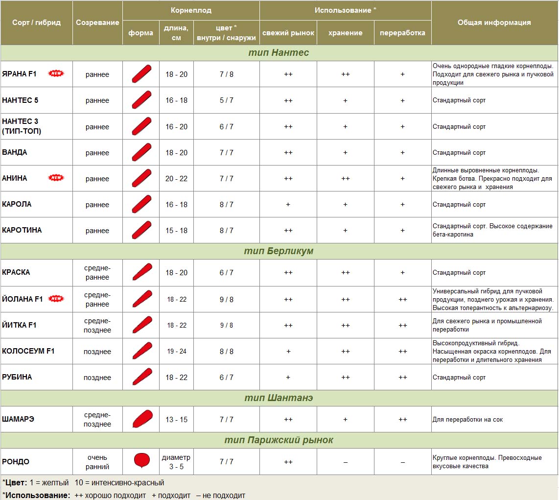 Морковь - сводная таблица